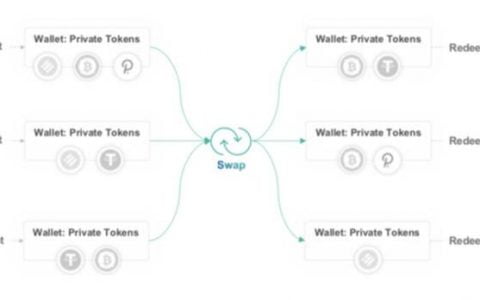Manta Network：波卡首个链上隐私保护项目