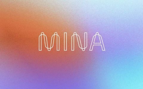 轻量级优势之外，Mina 更是一套基于零知识证明的生态系统