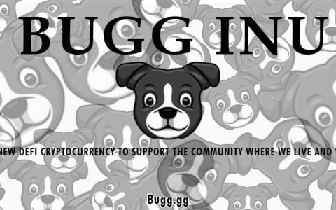 什么是BuggInu 代币？