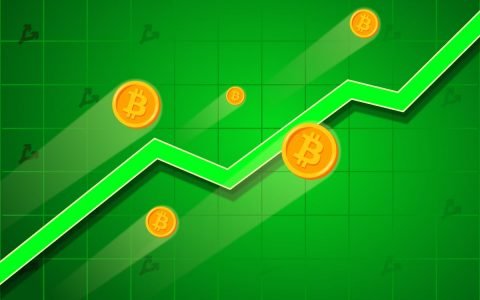 比特币价格突破 42,500 美元大关