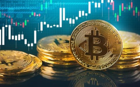 比特币、狗狗币价格分析：2021 年 8 月 9 日