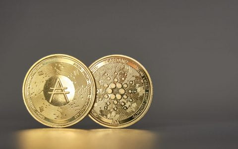 Cardano 和智能合约：Polymarket 的质押