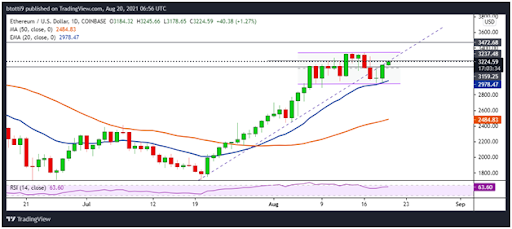 卡尔达诺达到新的 新高，ETH 跃升至 3.2 万美元以上