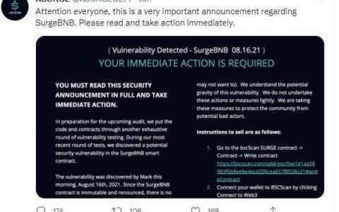 技术解析 BSC 链 XSURGE 遭闪电贷攻击始末