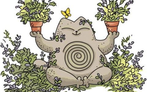 3 分钟了解去中心化预测市场交易平台 Catnip