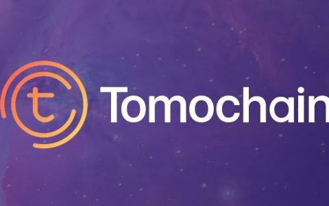 兼容 EVM 的区块链 TomoChain 以至少 2000 TPS 的速度启动了其主网。