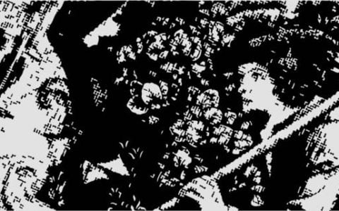 五分钟读懂 Charm Alpha Vault ：Uniswap V3 LP 极简主义操作策略