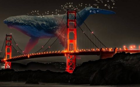 Whale：打造 NFT 界的「中本聪共识」