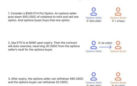 DeFi 期权协议 Opyn v2 更新预览：结算、保证金与抵押品等