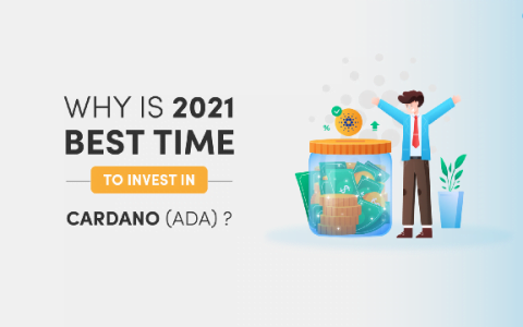 为什么 2021 年是投资卡尔达诺的最佳时机？