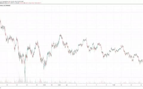 查看 5 种可以上涨的加密货币