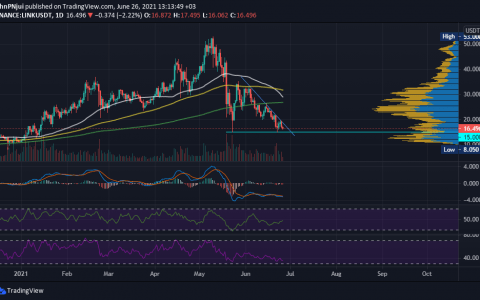Chainlink (LINK) 在 Github 上看到开发活动的兴起