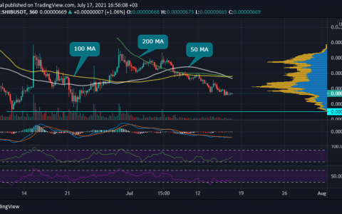 Shiba Inu 在第二季度的表现优于 DOGE，回报率为 11,566,501%