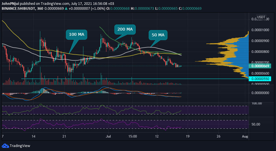 Shiba Inu 在第二季度的表现优于 DOGE，回报率为 11,566,501% 18