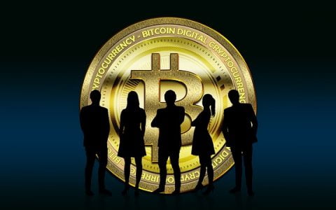 尽管价格波动，但仍有 70% 的机构投资者计划在未来投资加密货币