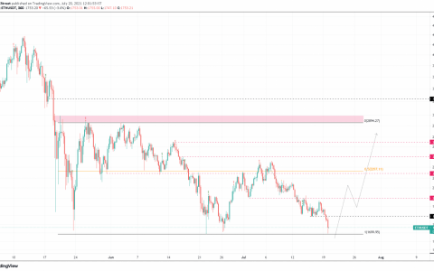 3 种可以在今年秋天幸存下来的加密货币； 知道它们是什么