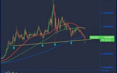 卡尔达诺和狗狗币仍然可以再上涨 30%； 检查评测