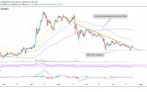 XRP 价格预测：Ripple 在跑道上滚下，准备最终起飞至 1 美元