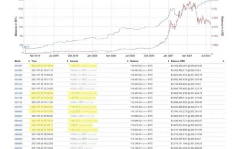 第三大比特币鲸鱼购买近 17,000 BTC