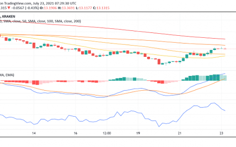 Polkadot 和 Tron 仍然可以跳过 70%； 看图形