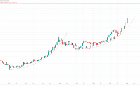 55% 的比特币修正揭示了 BTC 的价格发展