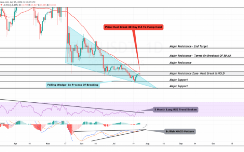 DOT 价格分析：Polkadot (DOT) 看涨设置得到确认，下一个目标价格为 17 美元