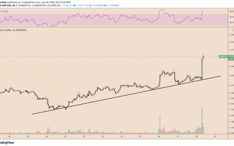 随着双底K线走势图形态的形成，XRP 价格飙升 17%