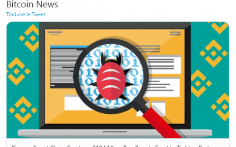 币安智能链 提供 1000 万美元的 BNB 以换取一点帮助