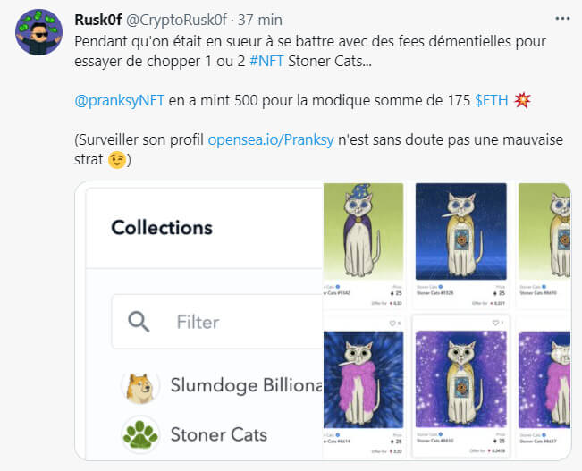 由于以太坊上的吸毒猫，他们损失了 650,000 欧元 – Stoners Cats 伸出爪子