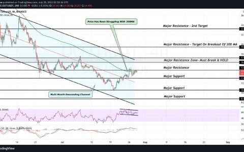 DOT 价格分析：Polkadot (DOT) 从每周低点上涨 40%，这是值得关注的重要水平