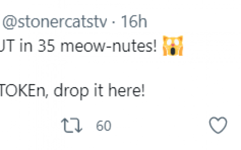 由于以太坊上的吸毒猫，他们损失了 650,000 欧元 – Stoners Cats 伸出爪子