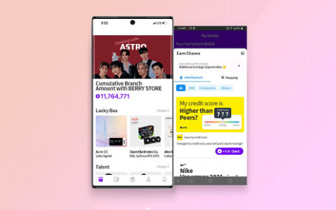 Berry Store 正努力为外国用户提供全球服务