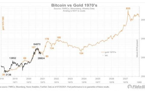 富达董事表示，1970 年后比特币的价值可能与黄金一样