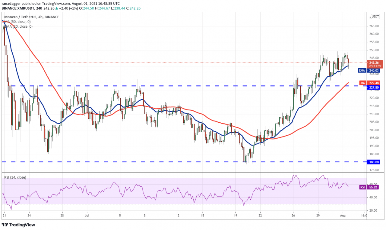 本周最值得关注的 5 种加密货币：BTC、UNI、LINK、SOL、XMR