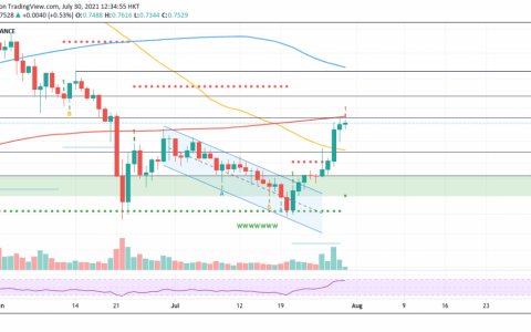XRP 交易量在第二季度增长了 98%
