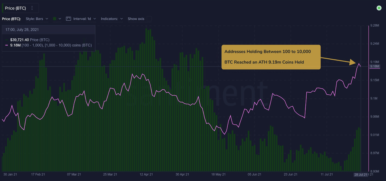 数据显示，7 月底活跃比特币地址飙升 30%