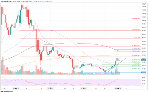 值得关注的顶级代币 – ETH、NEO 和 STX 将走向何方？