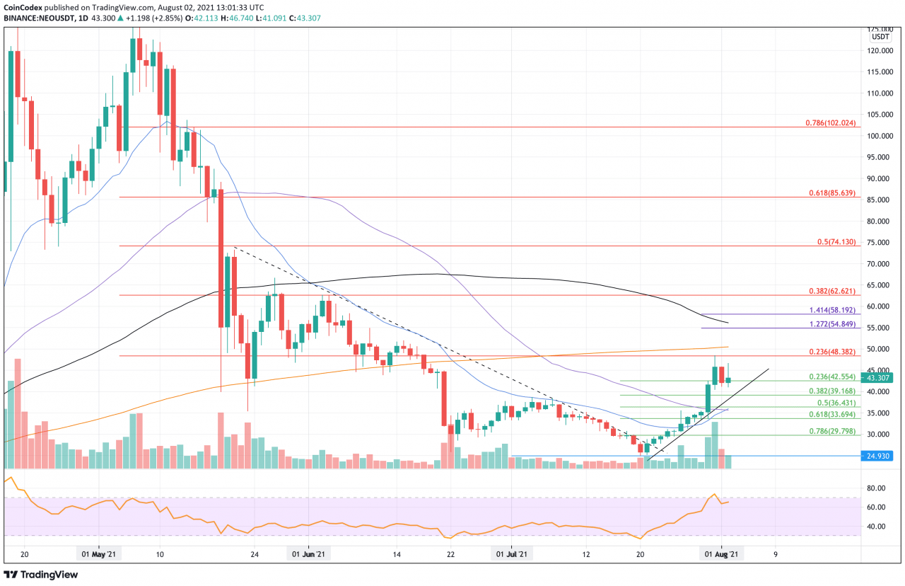值得关注的顶级代币 – ETH、NEO 和 STX 将走向何方？