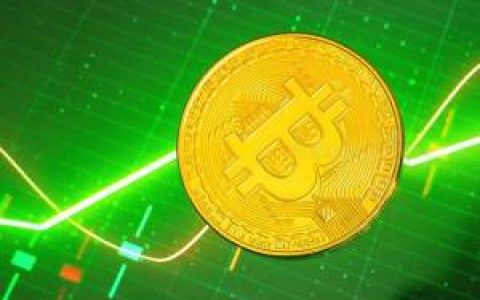 以下是那些标志着比特币价格历史峰值的指标