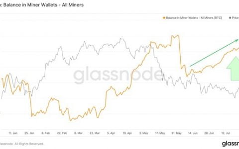 比特币在 7 月份巴西的所有投资中升值最高