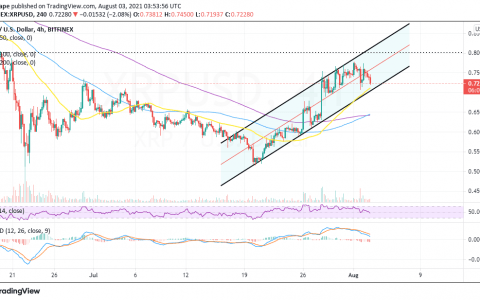 XRP 价格预测：瑞波币从 7 月高点下跌，风险探索低于 0.7 美元的水平