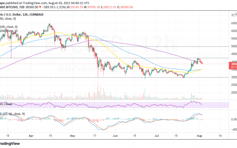 比特币、狗狗币价格分析：2021 年 8 月 3 日