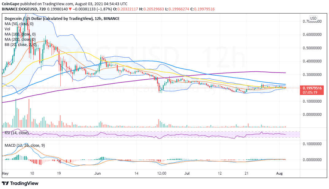 DOGE/USD 价格K线走势图 
