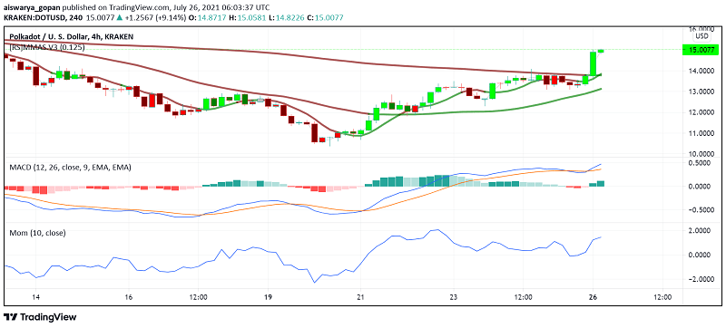 Polkadot 技术分析：DOT 价格会发生什么变化？