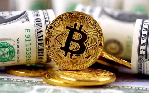 比特币和公司的资金泛滥？ 一项新研究预测