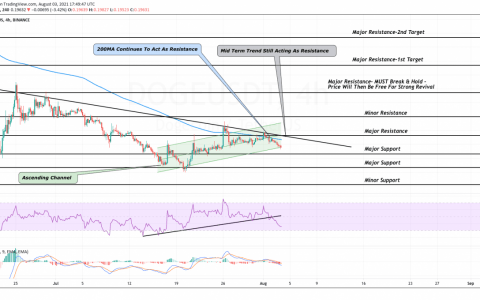 DOGE 价格分析：在购买下一次下跌之前观察这些关键价格水平