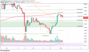 Ripple CEO 在 Ripple SEC 案件中的新举措 它如何影响瑞波币价格？