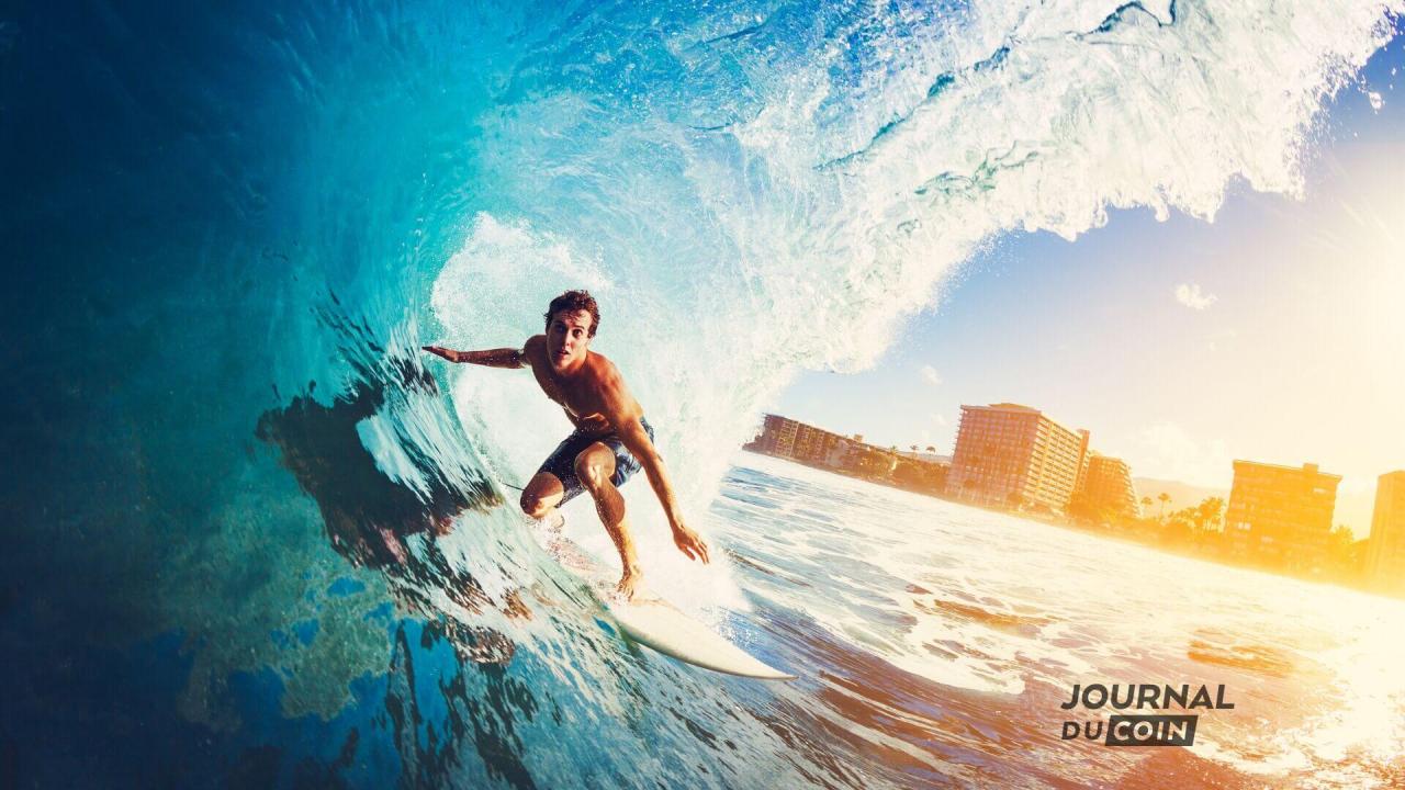 无论上涨还是下跌，成功并继续增持比特币都需要大量掌握