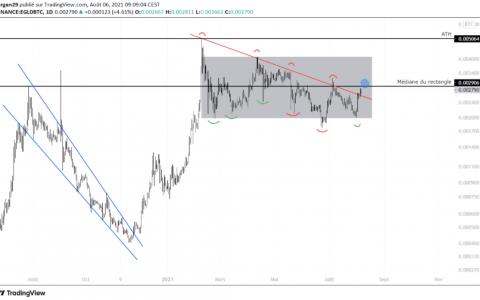 2021 年 8 月 6 日的 Cours d’Elrond（EGLD）：区块链的老大在战斗