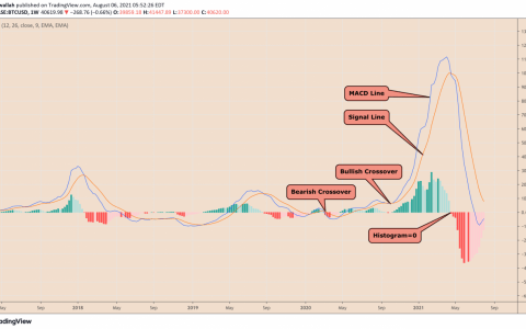 随着 BTC 价格回升 4 万美元，预测 2020 年反弹的比特币分形再次闪烁